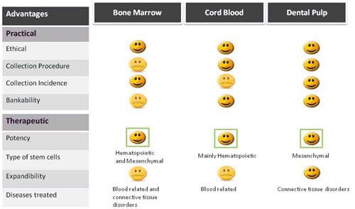 Dental pulp stem cell preservation process and storage
